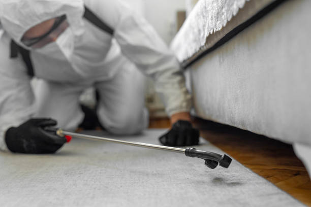 Professional Bed Bug Control technician working in Eaton, OH