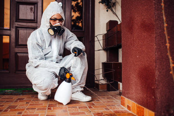 Reliable Bed Bug Control contractor in Eaton, OH by Nex Pest Control