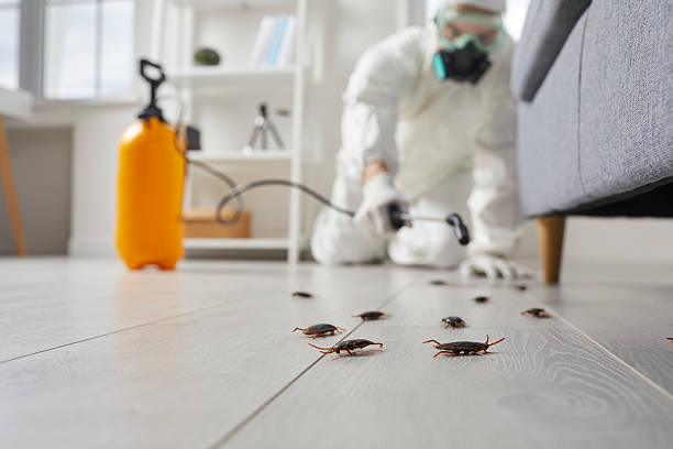 Trusted Rodent Control service in Eaton, OH - Nex Pest Control