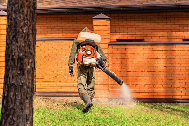 Trusted Cockroach Control service in Eaton, OH - Nex Pest Control